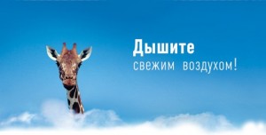 свежий воздух